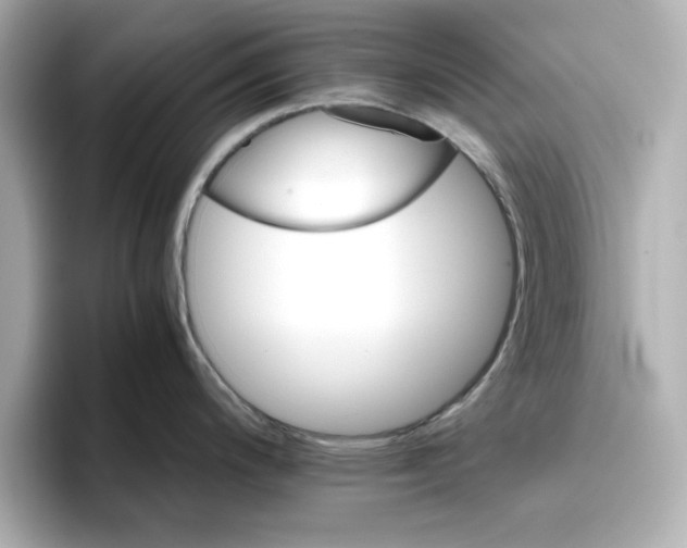 X0000096661200200802261336