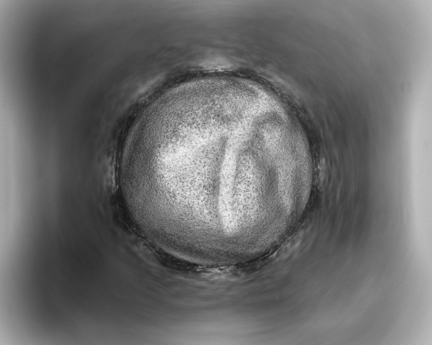 X0000096661205200802261335