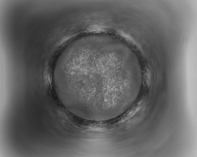 X0000096661206200802261335