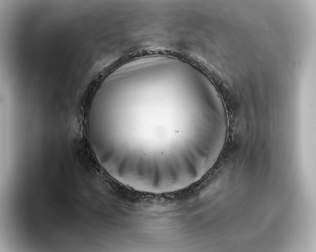 X0000096661207200802261335