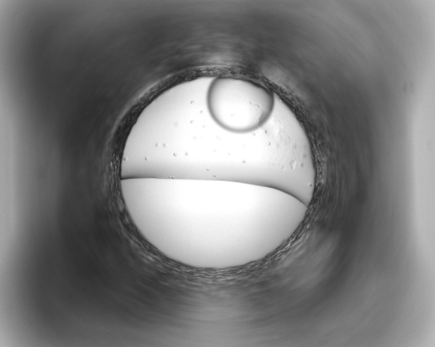 X0000096661208200802261335