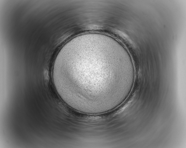 X0000096661209200802261335