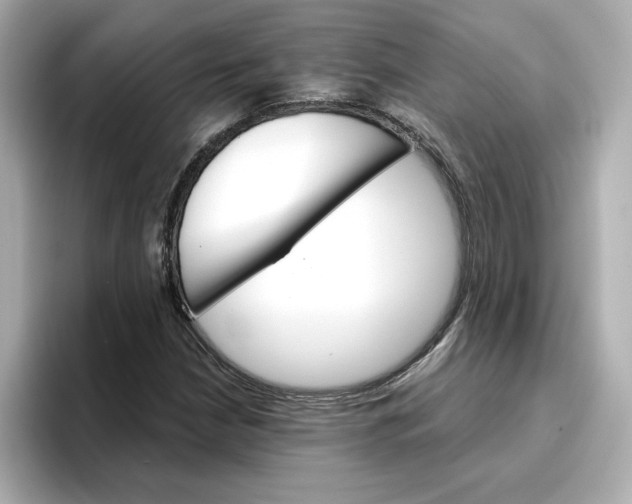 X0000096661210200802261335