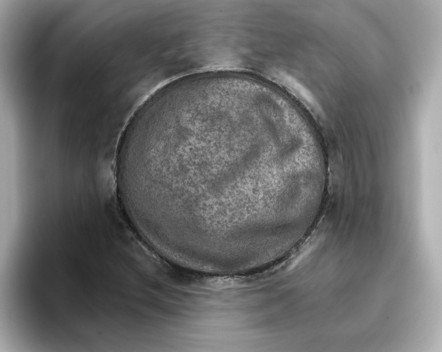 X0000096661212200802261335