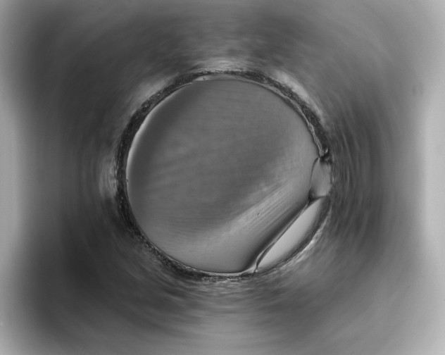 X0000096661213200802261335