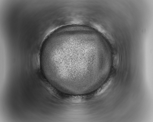 X0000096661214200802261335