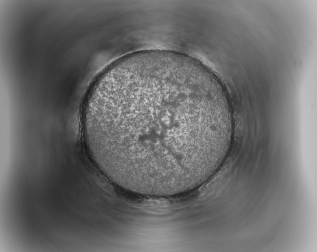 X0000096661215200802261335