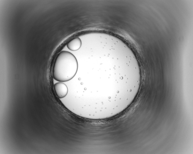 X0000096661216200802261335