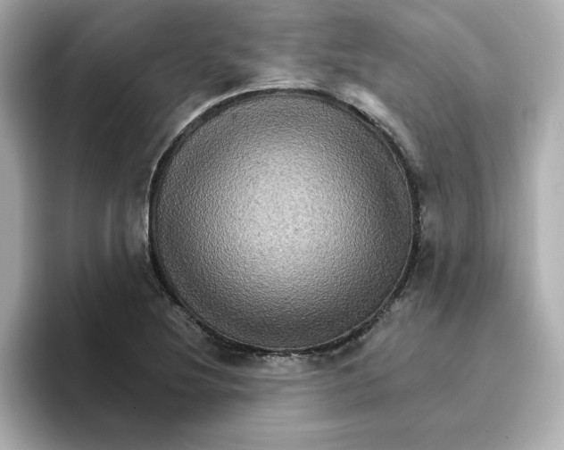 X0000096661220200802261335