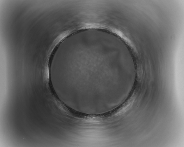 X0000096661221200802261335