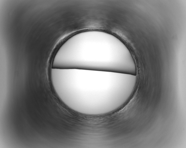 X0000096661222200802261335