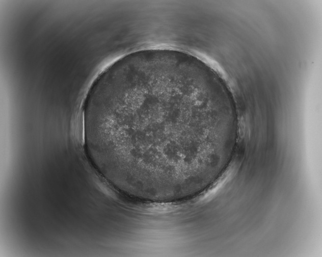 X0000096661223200802261335