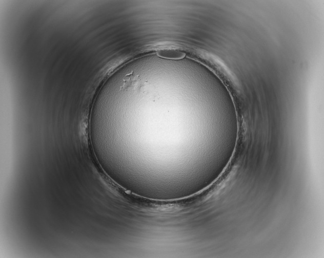 X0000096661225200802261335