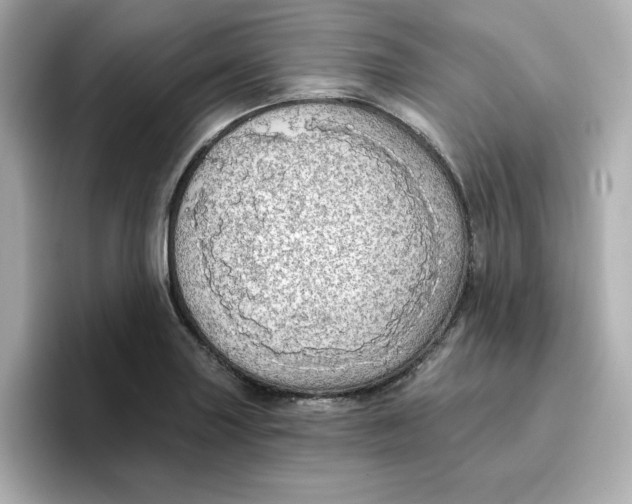 X0000096661227200802261335