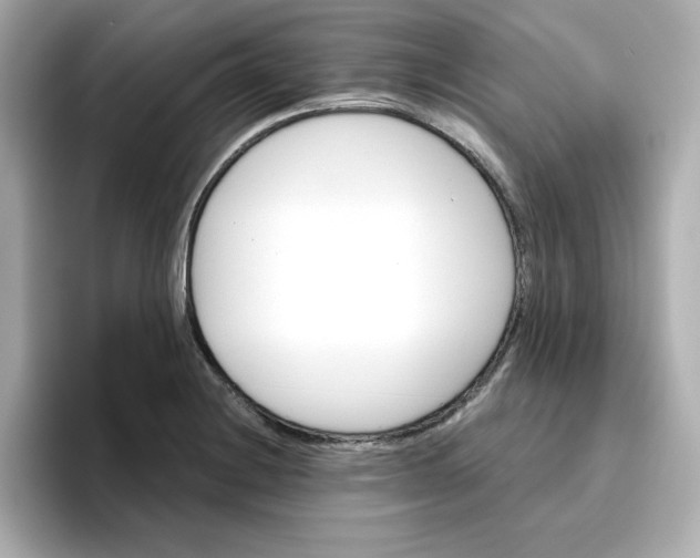 X0000096661228200802261335