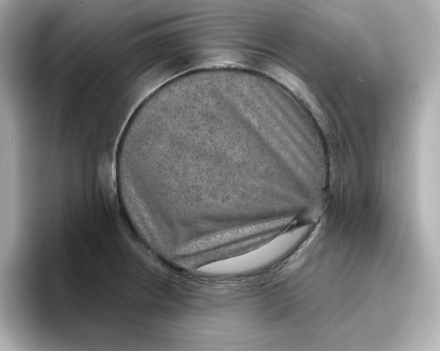 X0000096661234200802261335