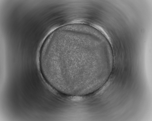 X0000096661235200802261335