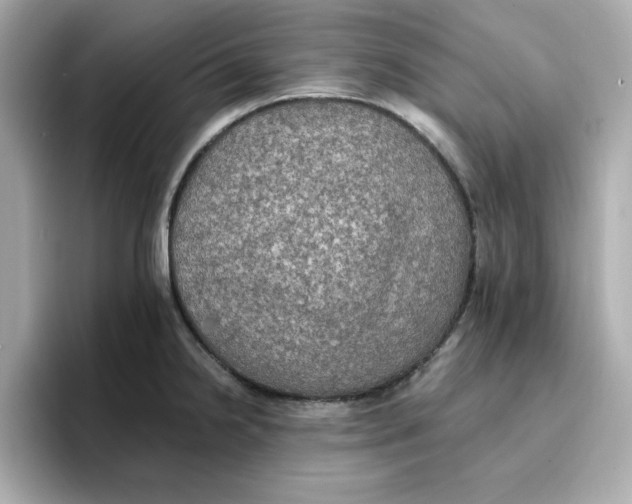 X0000096661238200802261335