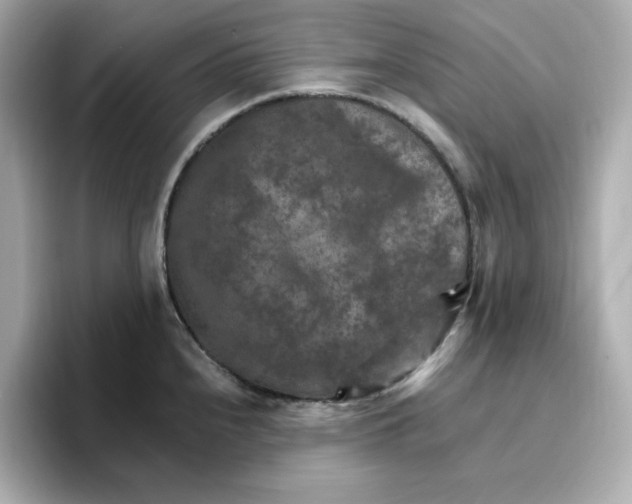 X0000096661240200802261335