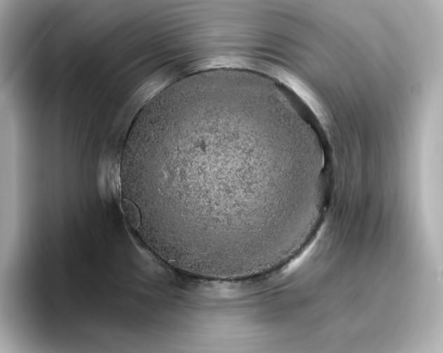 X0000096661241200802261335