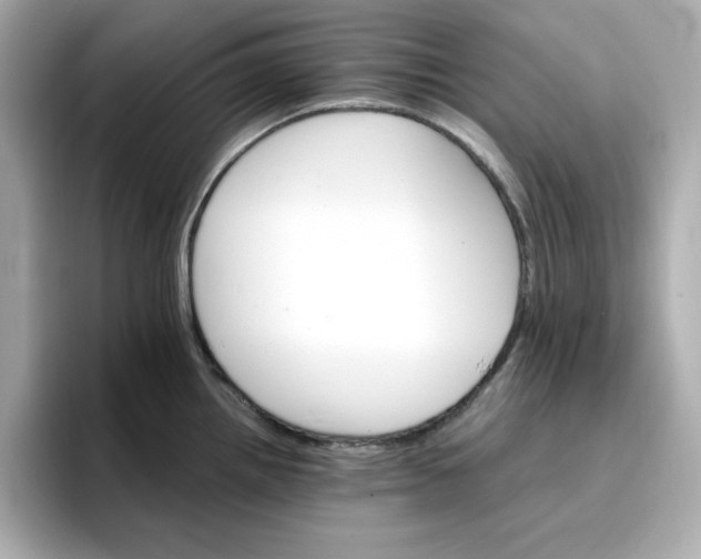 X0000096661242200802261335