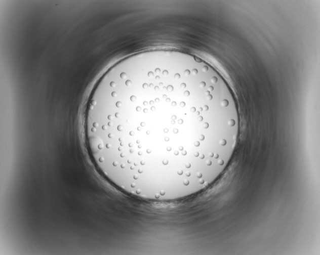 X0000096661243200802261335