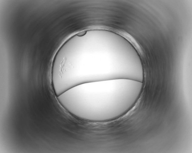 X0000096661244200802261335