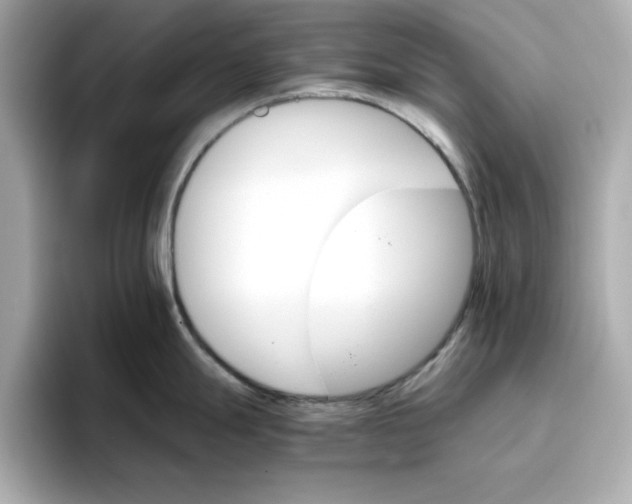 X0000096661247200802261336