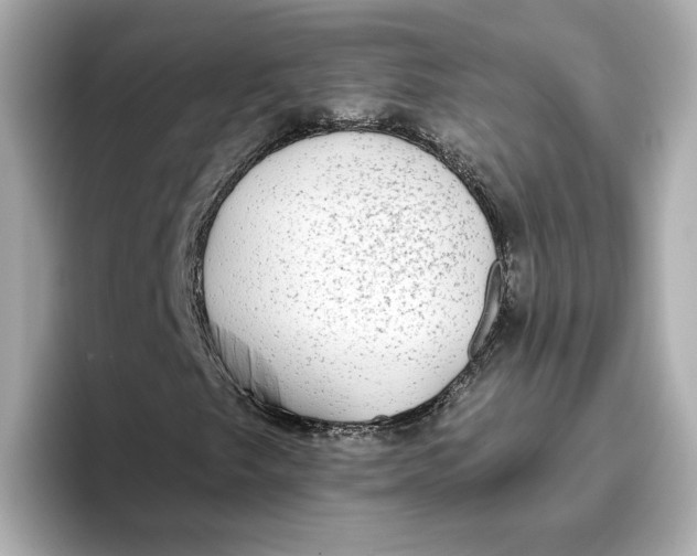 X0000096661249200802261335