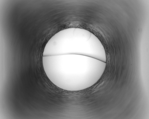 X0000096661250200802261335