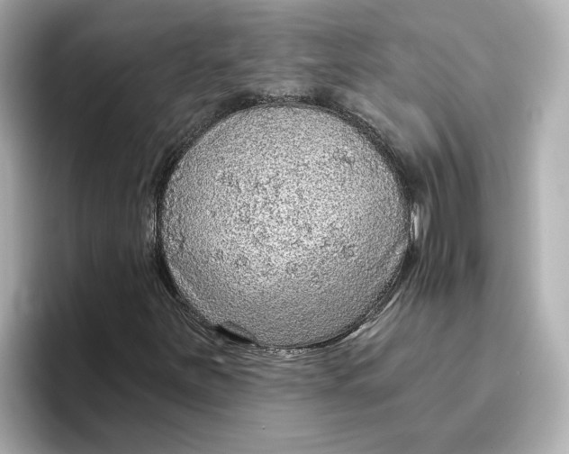 X0000096661251200802261335