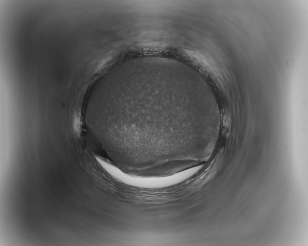 X0000096661252200802261335