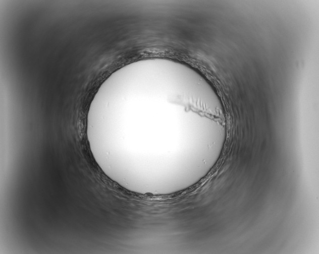 X0000096661253200802261335