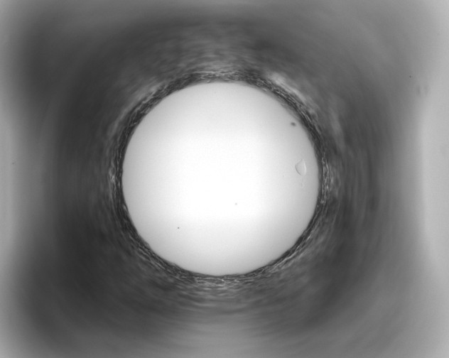 X0000096661254200802261335