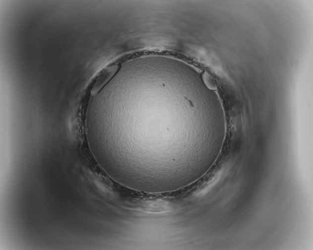 X0000096661256200802261335