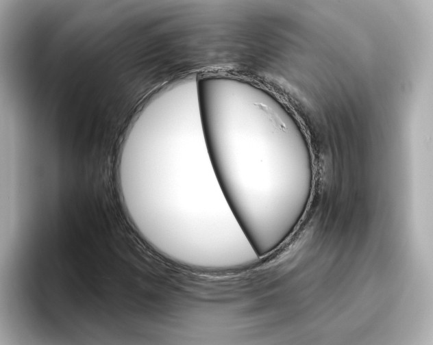 X0000096661257200802261335