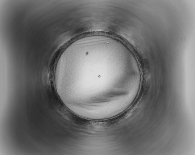 X0000096661258200802261335