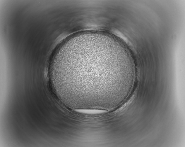 X0000096661259200802261335