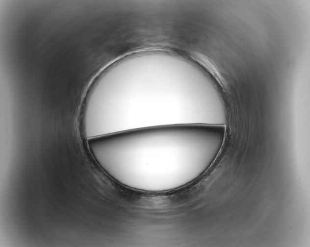 X0000096661260200802261335