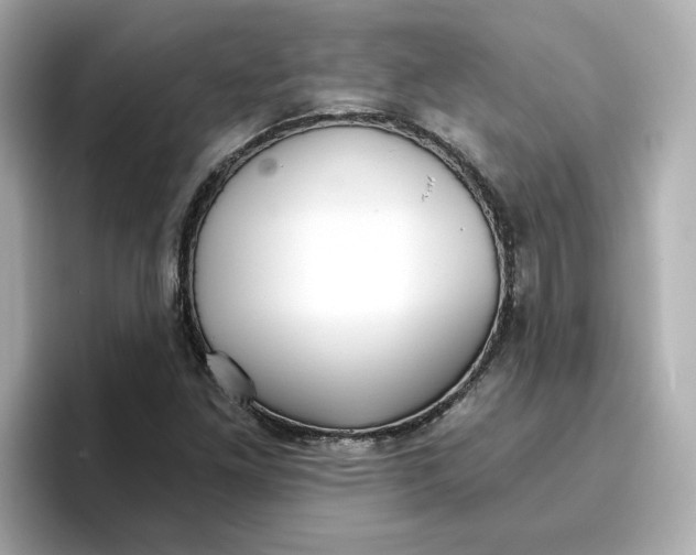 X0000096661261200802261335