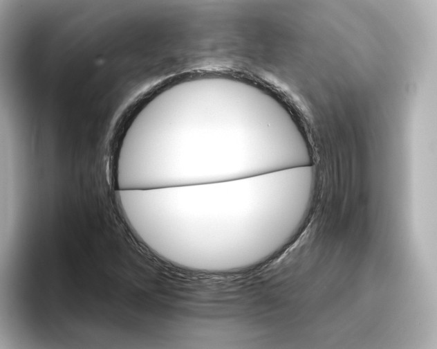 X0000096661262200802261335