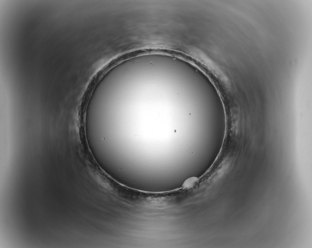 X0000096661264200802261335