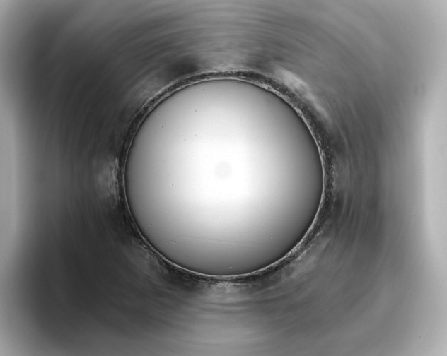 X0000096661265200802261335