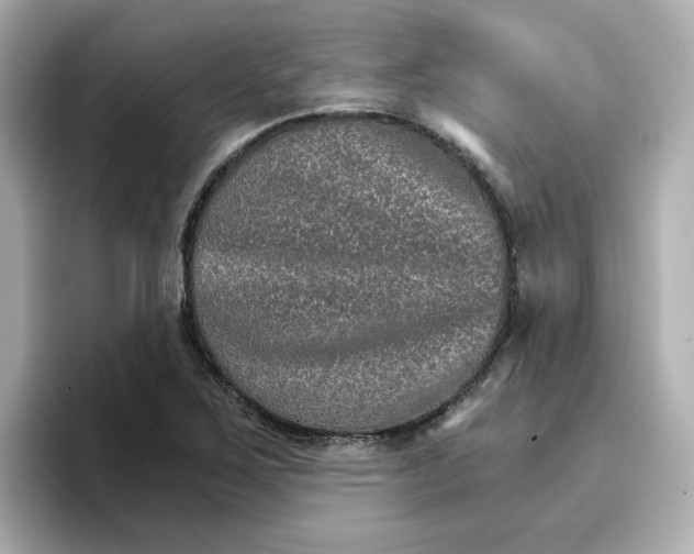 X0000096661267200802261335