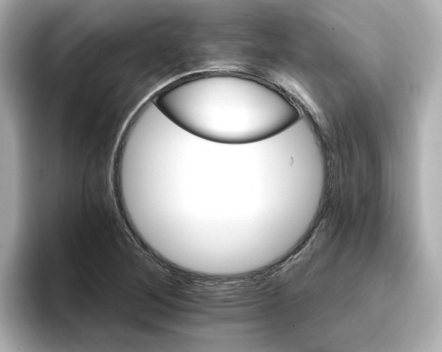 X0000096661268200802261335