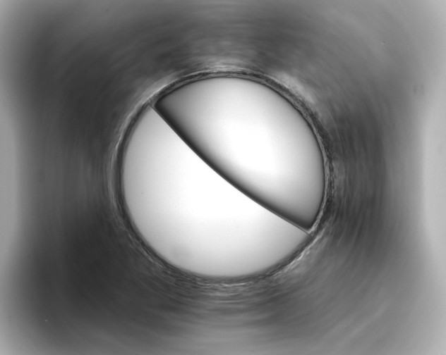 X0000096661269200802261335