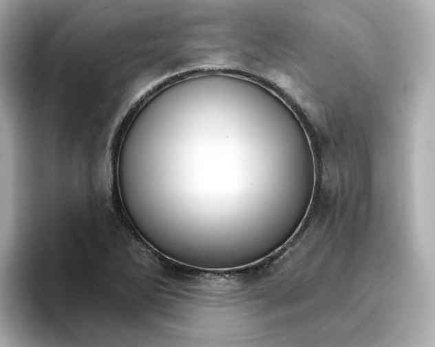 X0000096661270200802261335