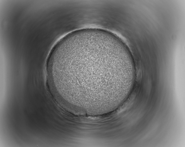 X0000096661271200802261335