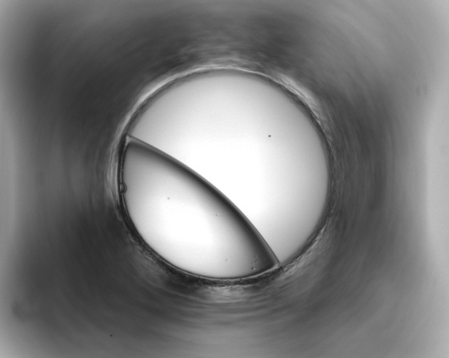 X0000096661272200802261335