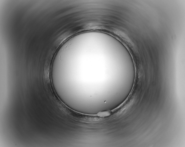 X0000096661273200802261335